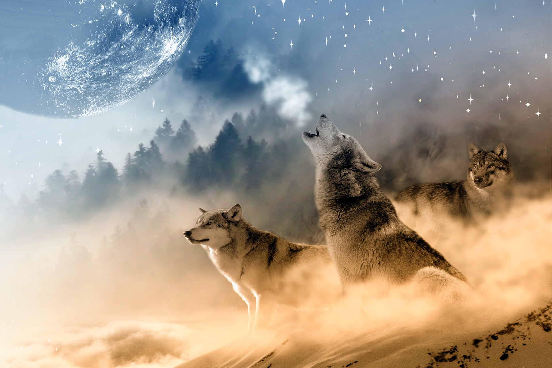 wolves gc583b4544 1920