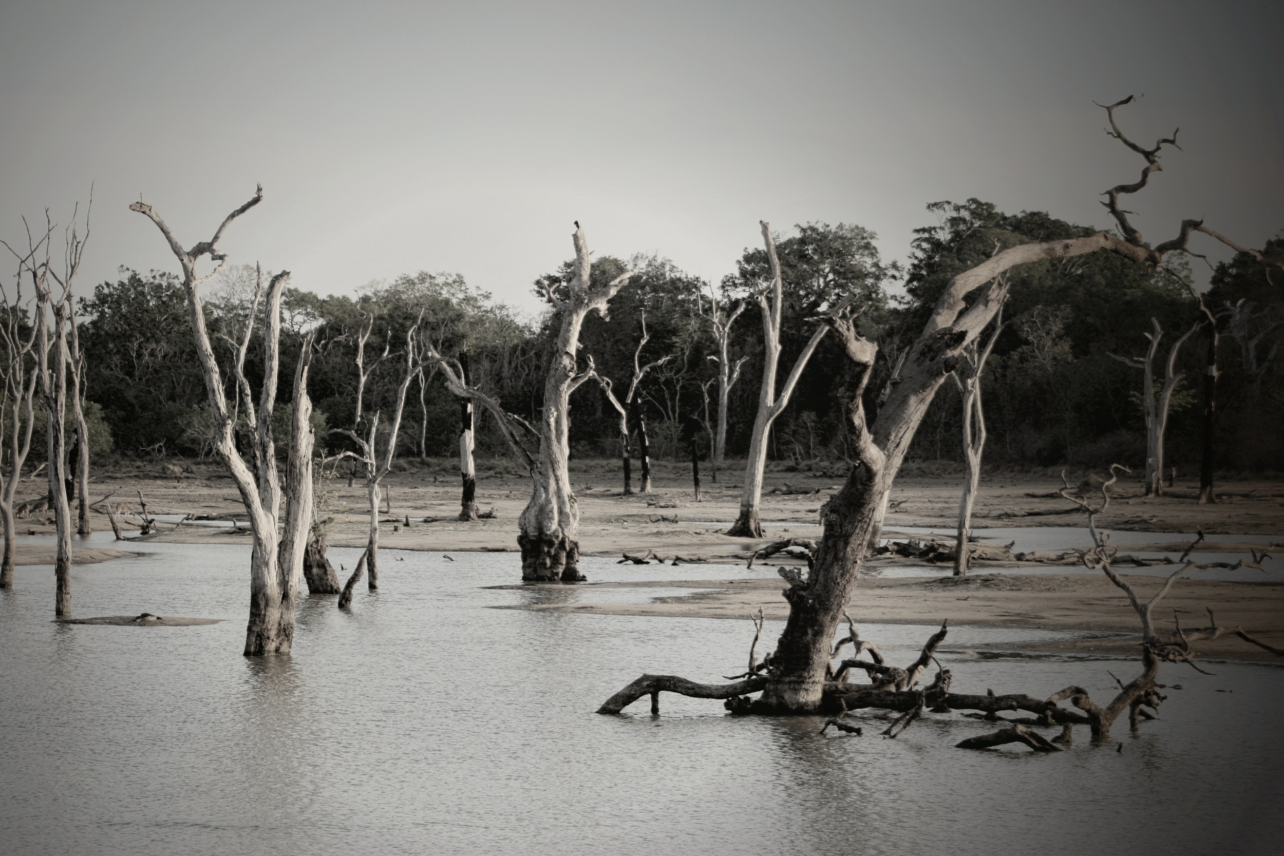 & inondations