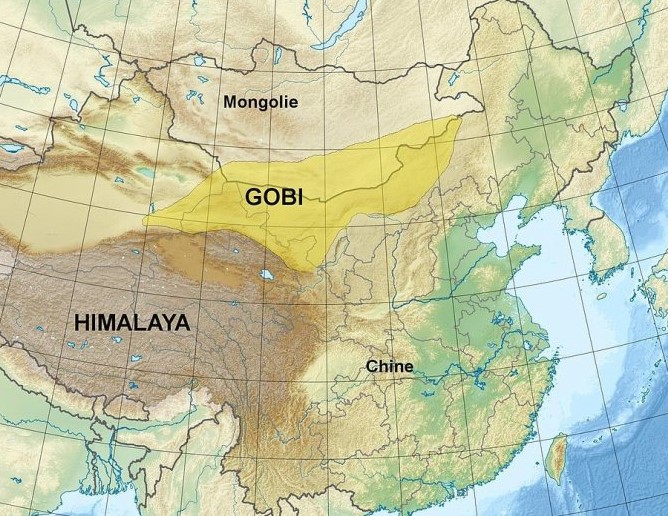 gobi