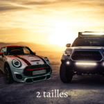 2 tailles (1)