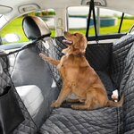chienvoiture