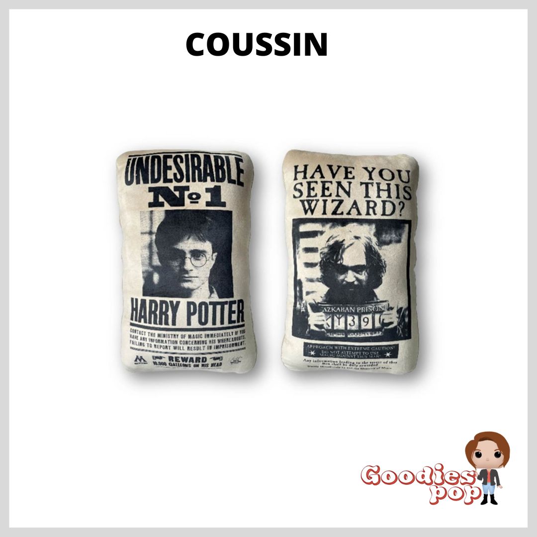 coussin-wanted-harry-potter-goodiespop