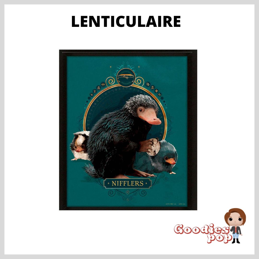 cadre-lenticulaire-les-animaux-fantastiques-goodiespop-