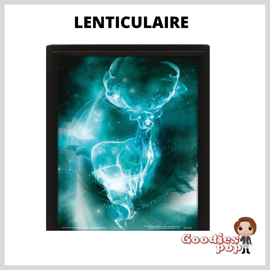 .cadre-lenticulaire-harry-potter-goodiespop