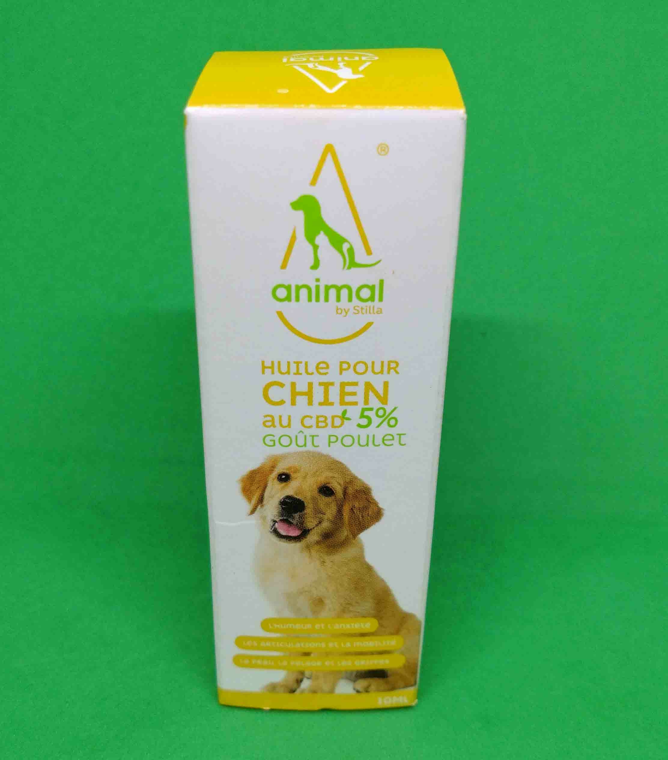 CBDchien01