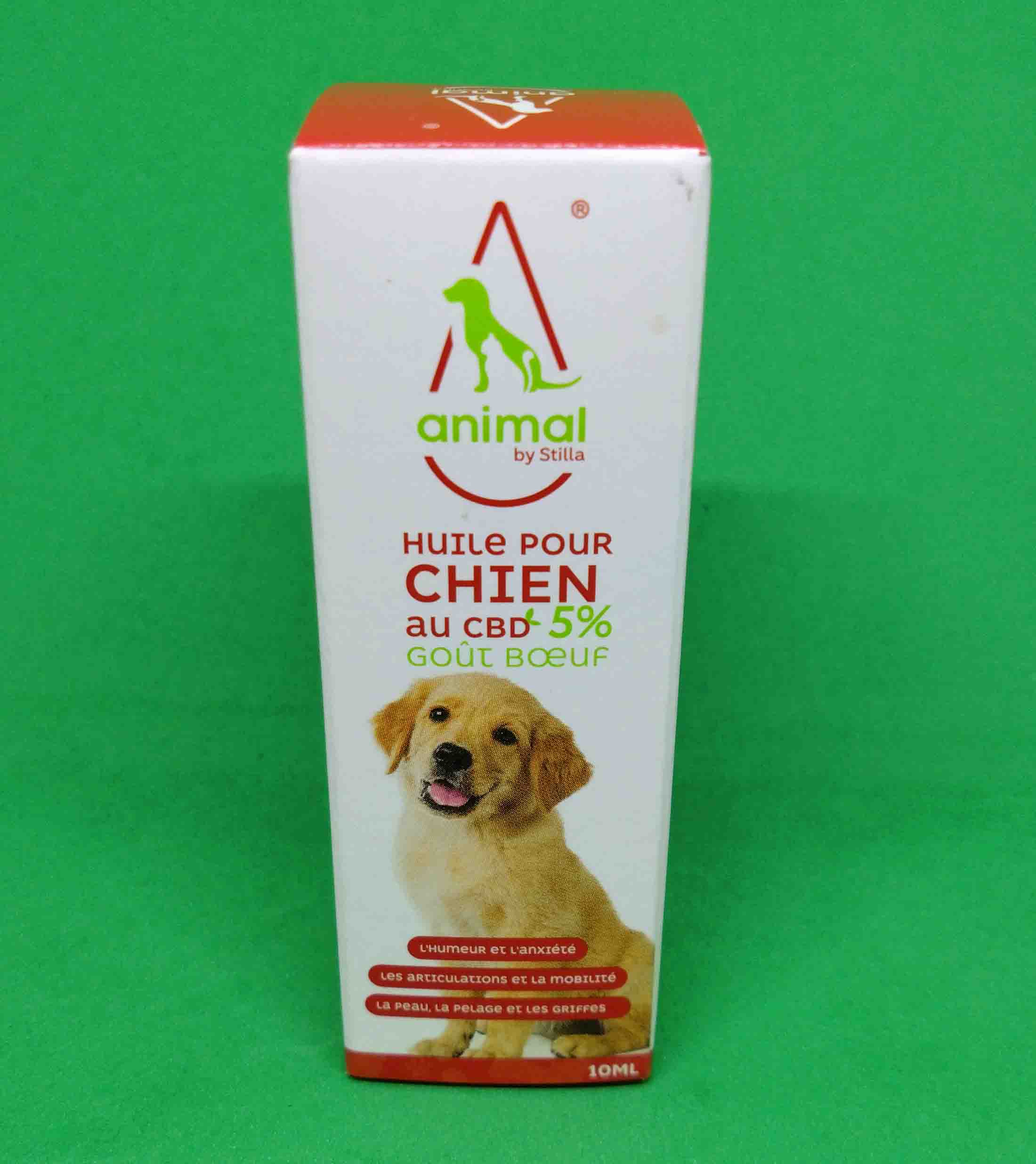 CBDchien02