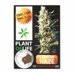 Plant-Of-Life-Lemon-Haze-CBD-Solid-1gr