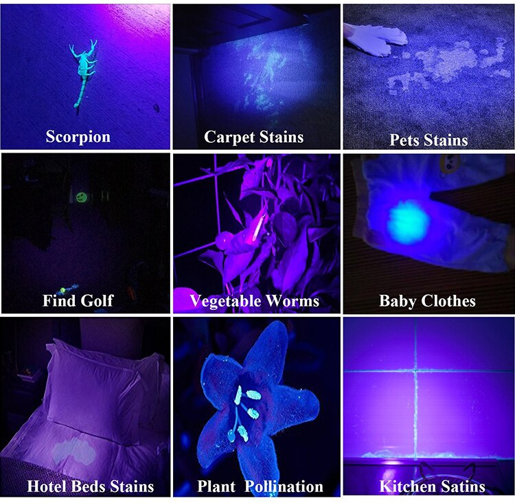 Ejemplos ilustrados de rastros y objetos observados bajo luz UV