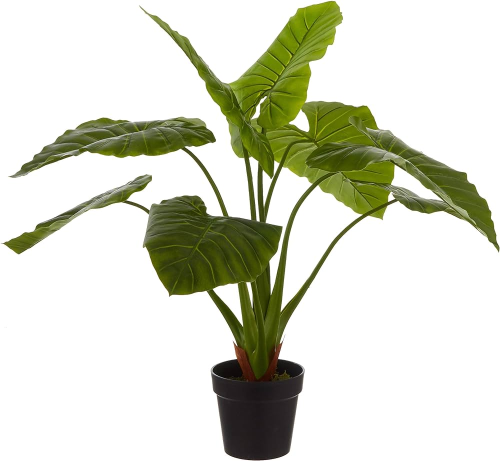 fausse-plante-camera-espion