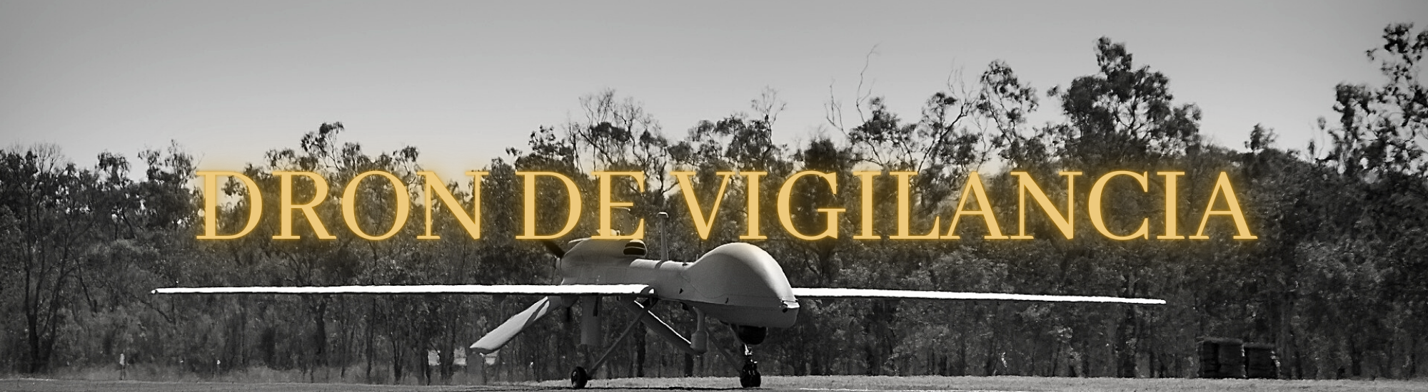 Drone de vigilancia - Europe Connection