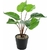 camera-espion-europe-connection-plante-artificielle