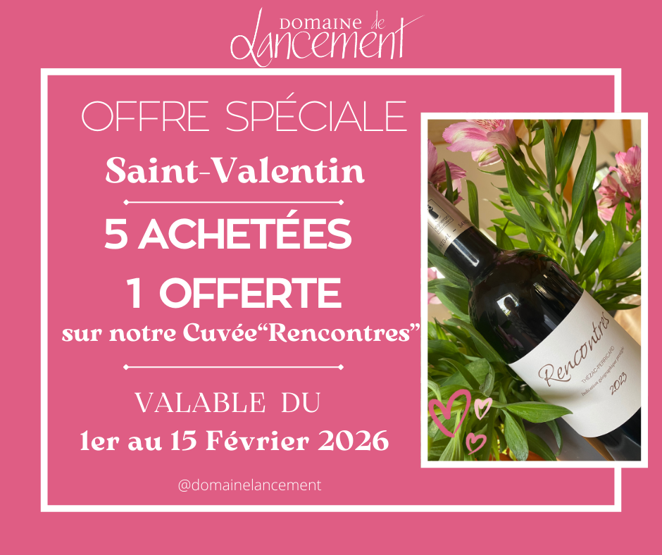 Offre Saint-Valentin