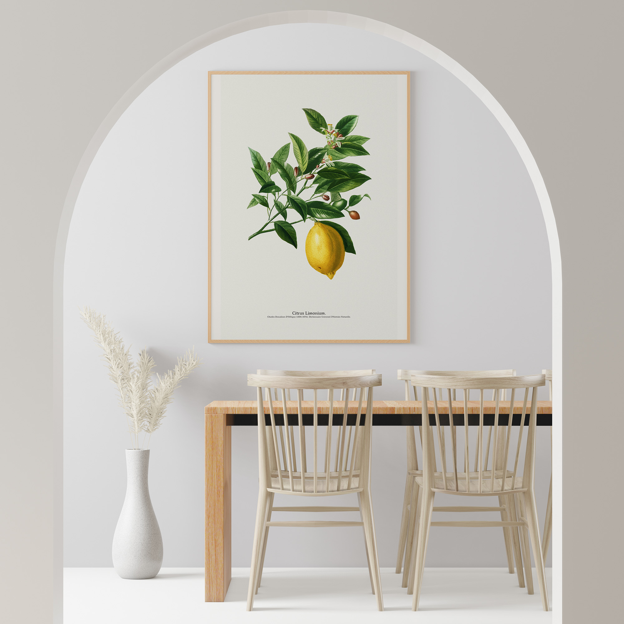 Affiche vintage cuisine Citron Botanique