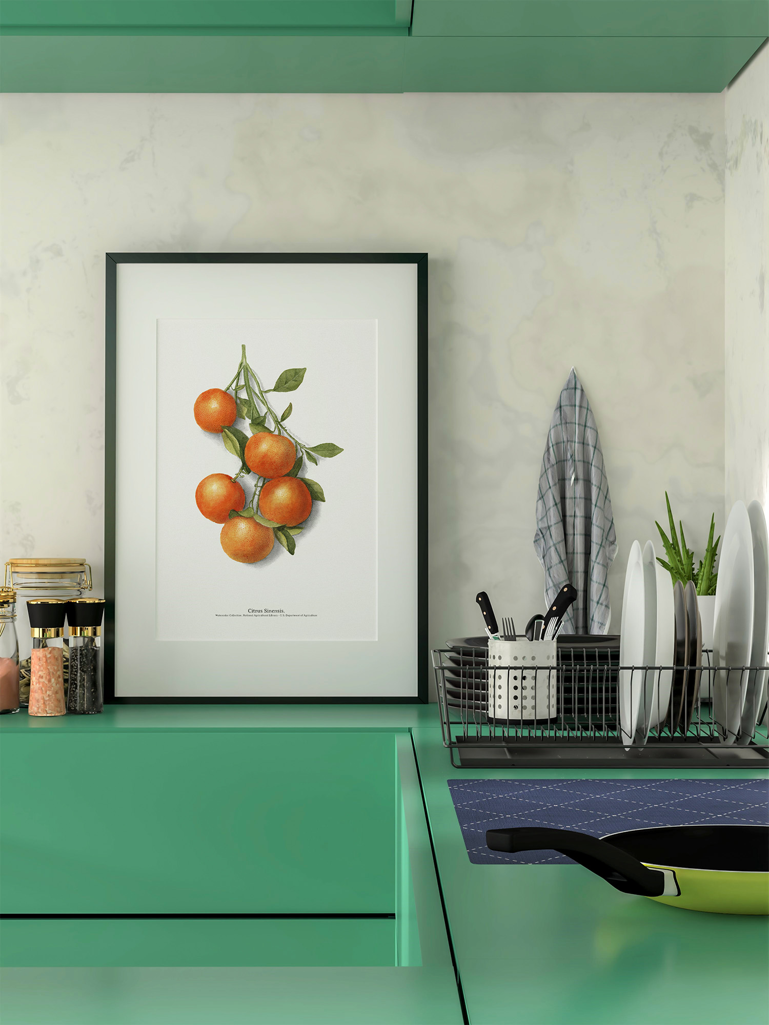 AgrumiumBotanicum_Oranges_Poster-vintage-décoration-murale-cuisine_Affiche-_Vegetal_nature