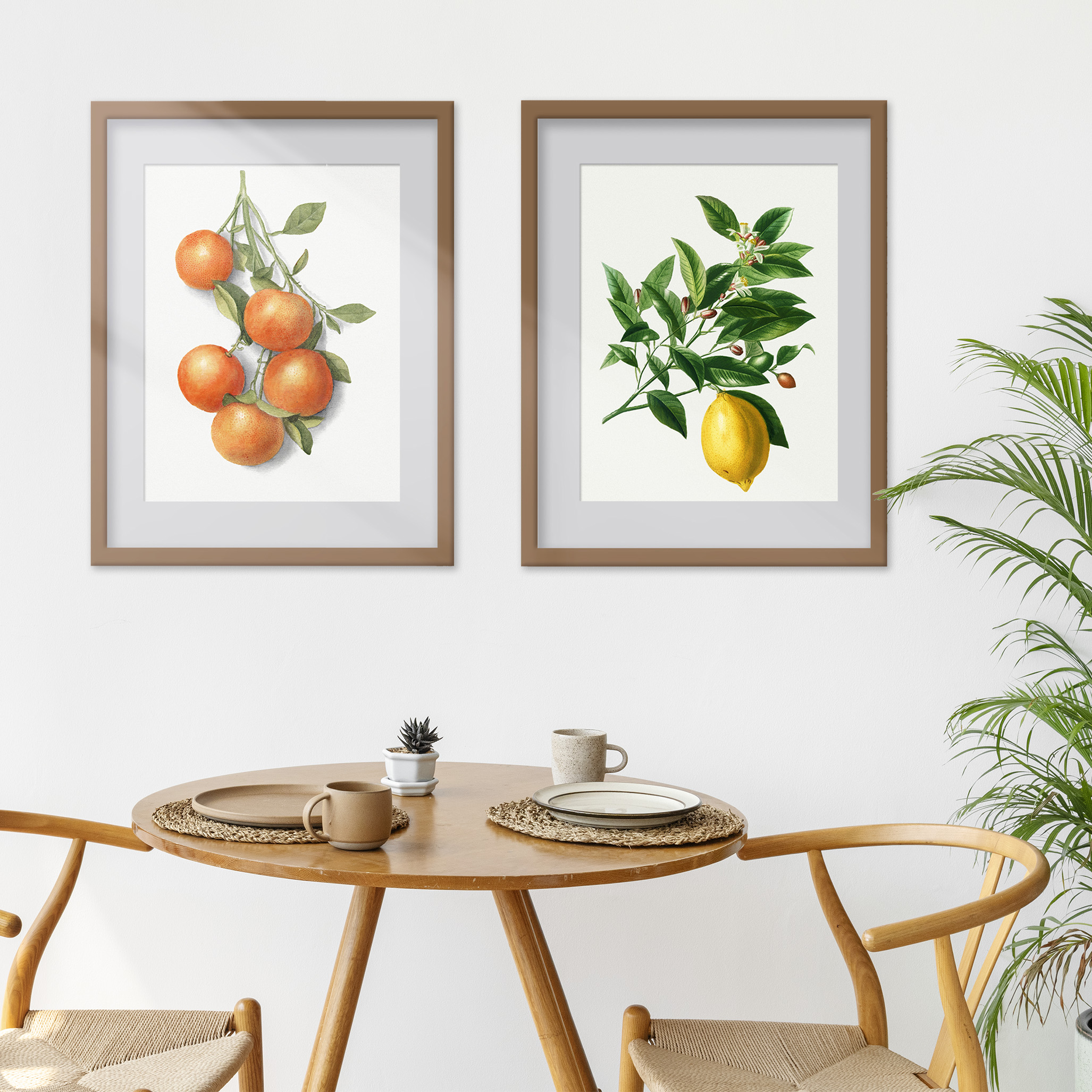 Duo d\'affiches botaniques Orange et Citron (30x40cm)