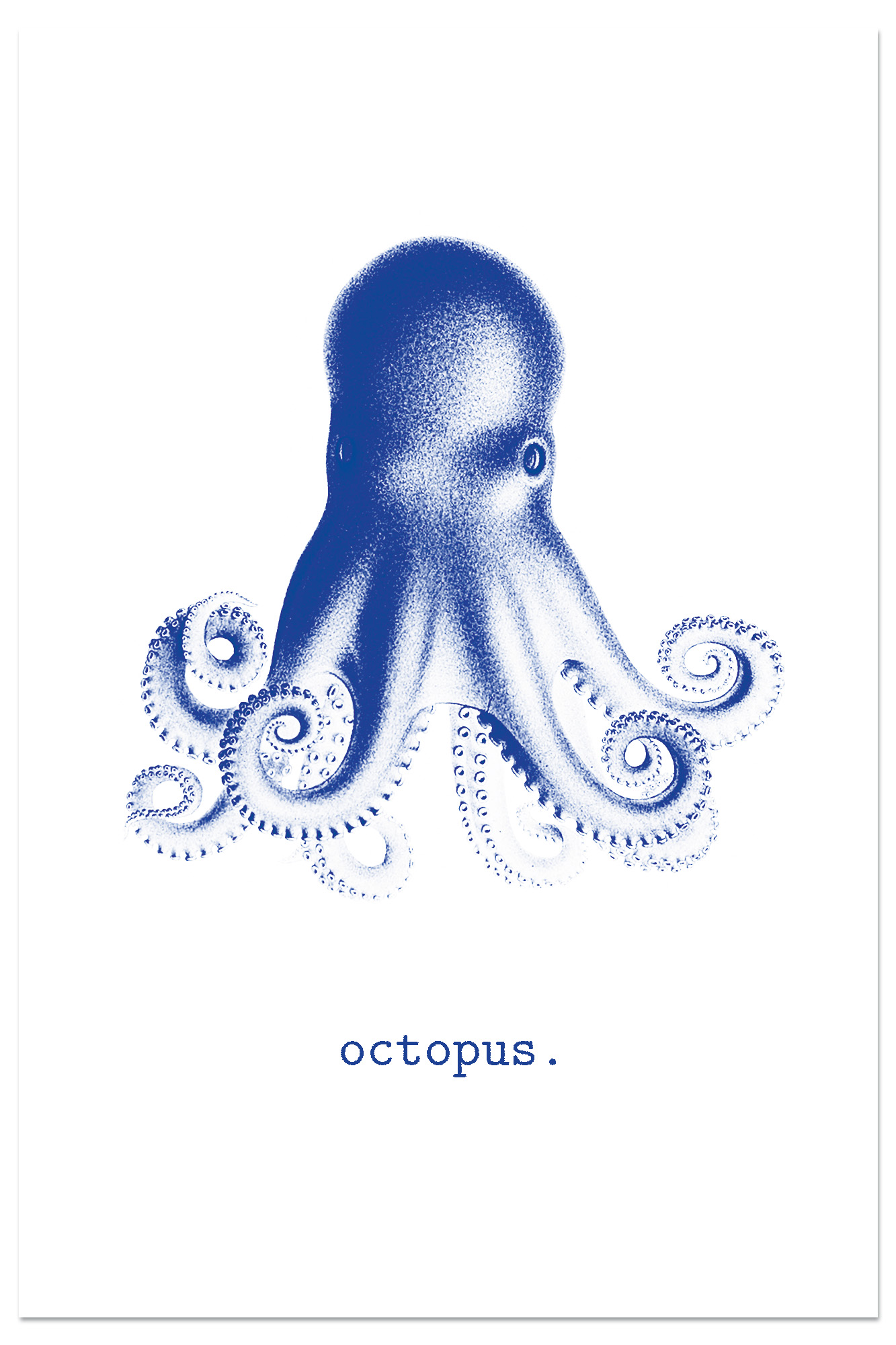 Affiche Pieuvre bleue - Illustration vintage Octopus