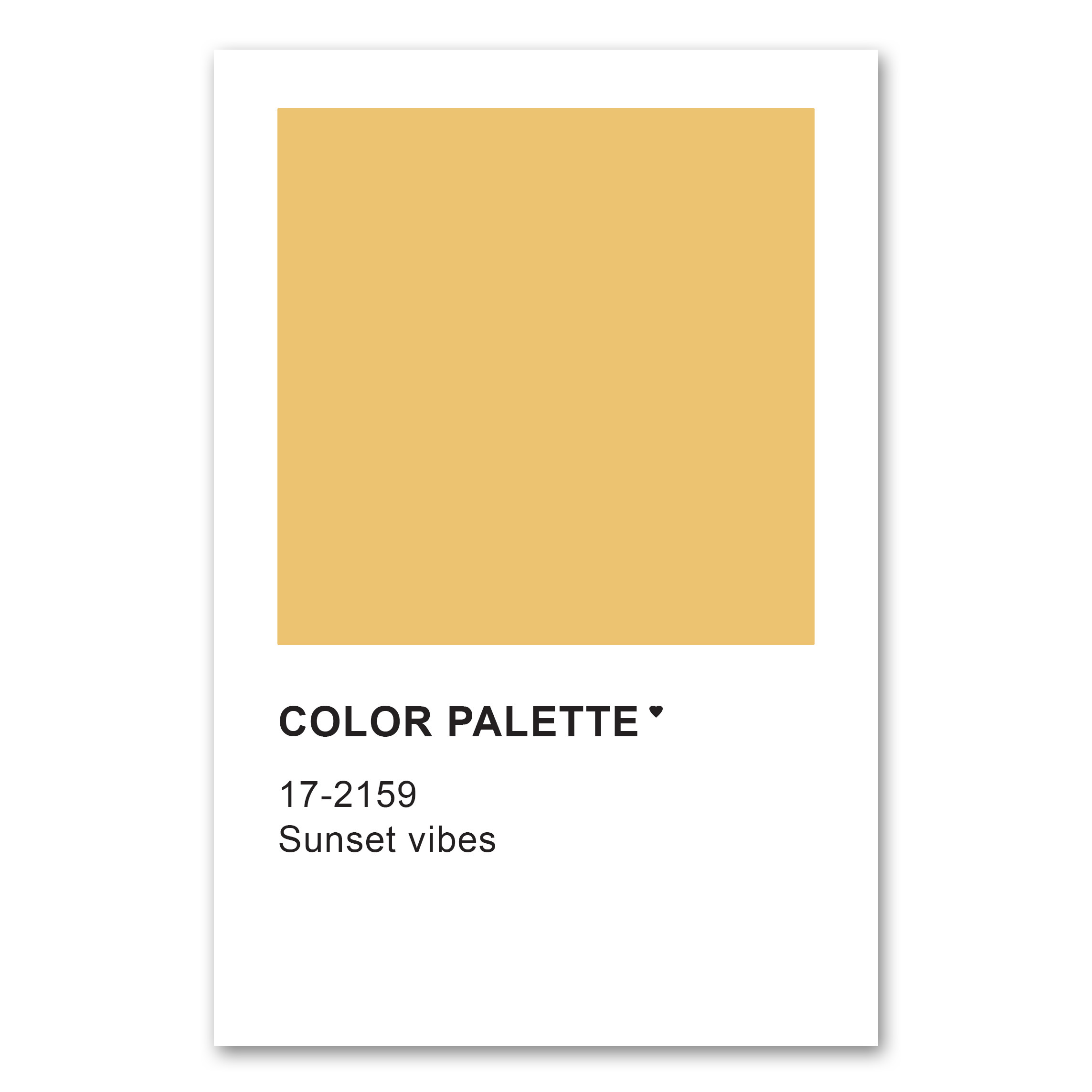 Color Palette Sunset Vibes