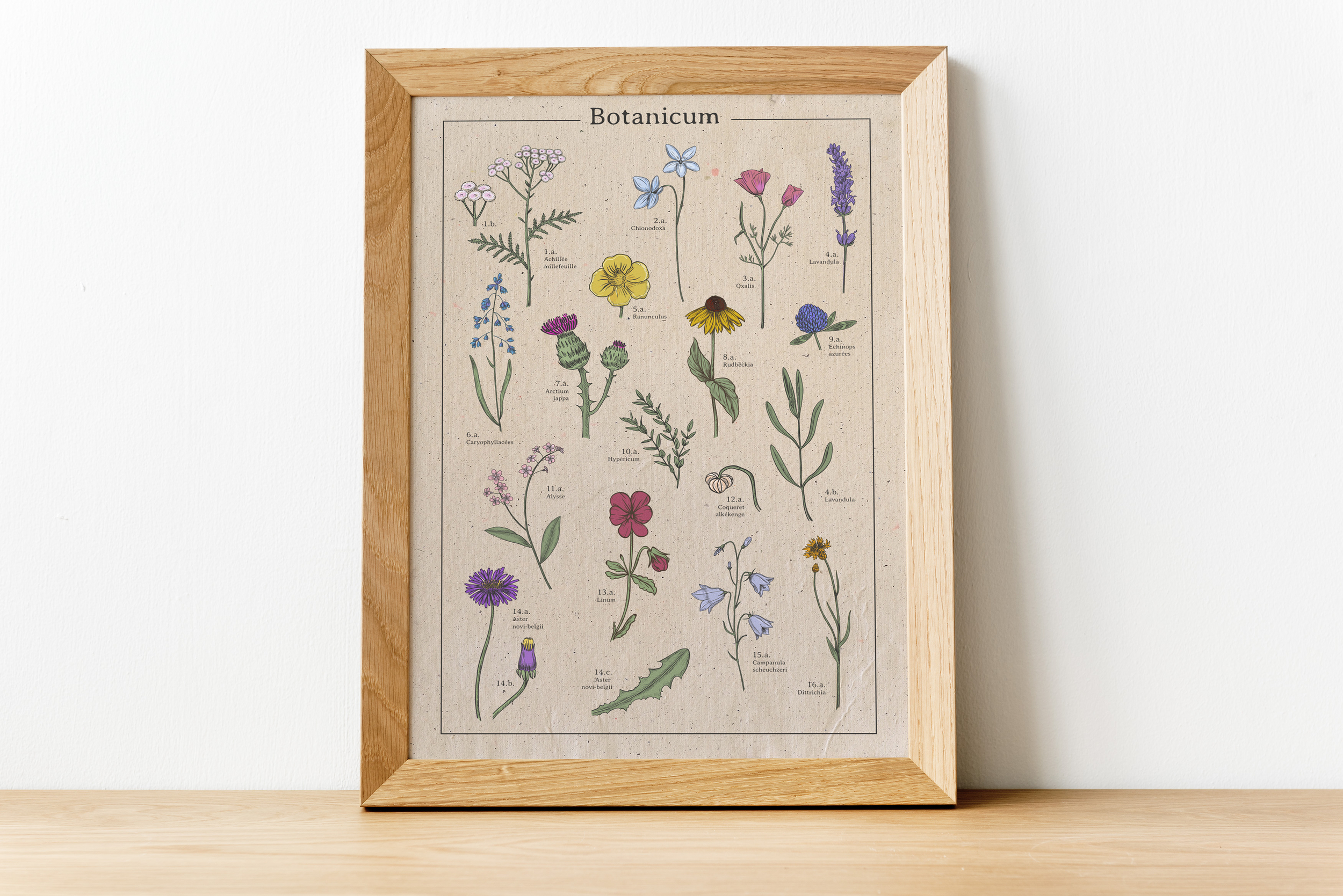 Botanicum_Fleurs_Poster-décoration-murale_Affiche-végétale_Motifs-floraux