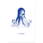 Affiche Pieuvre bleue - Illustration vintage Octopus