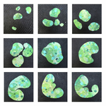 PrinTiles_cadres_naissance_vert