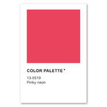 Poster-décoration-murale_Affiche-ColorPalette_Pinky-Neon
