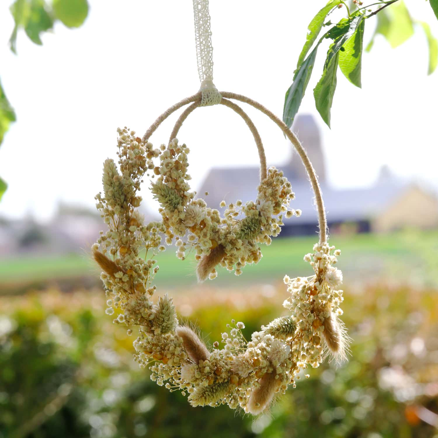 couronne belle des champs arbre