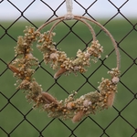 couronne belle des champs fond vert