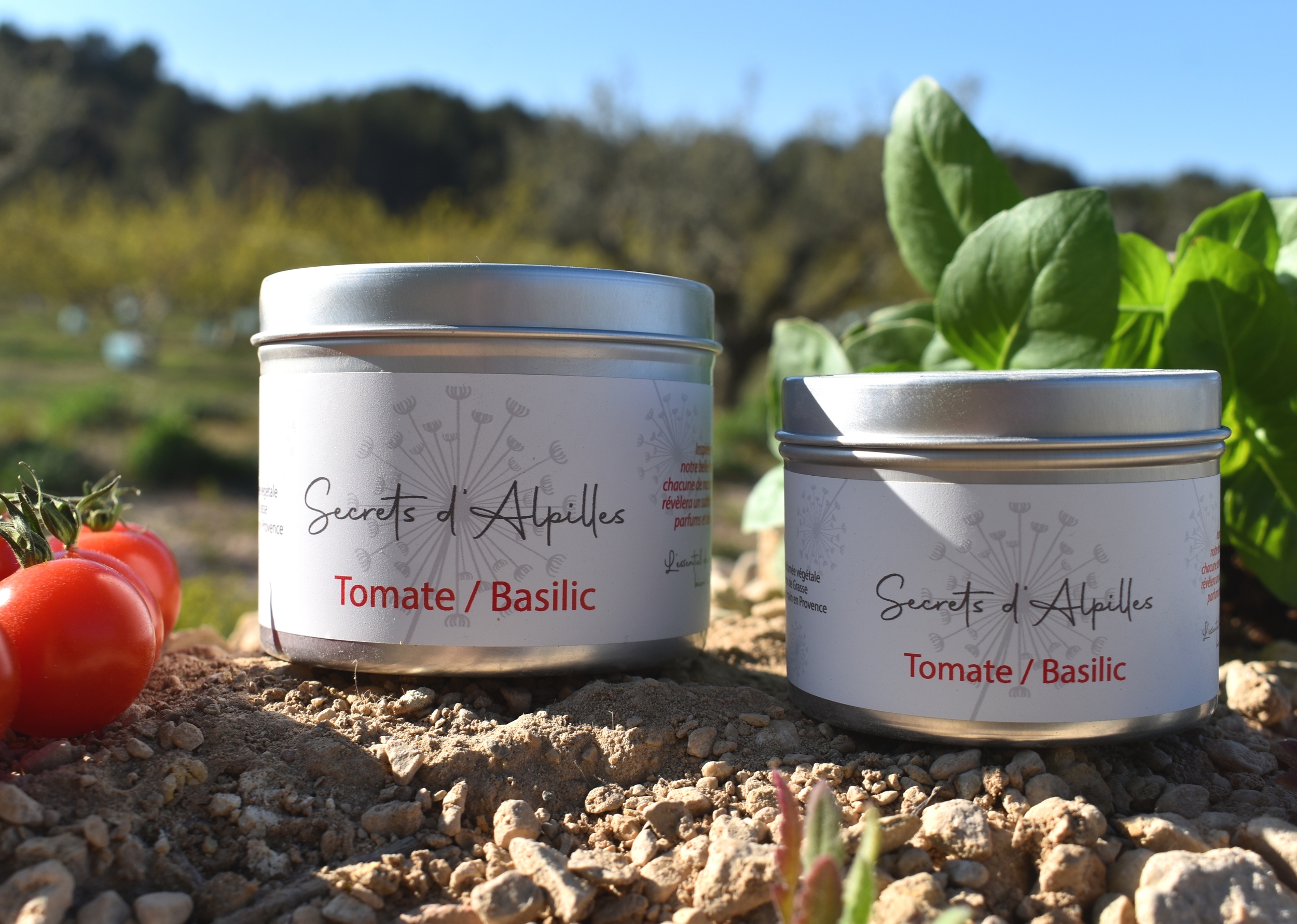 Bougie Tomate Basilic