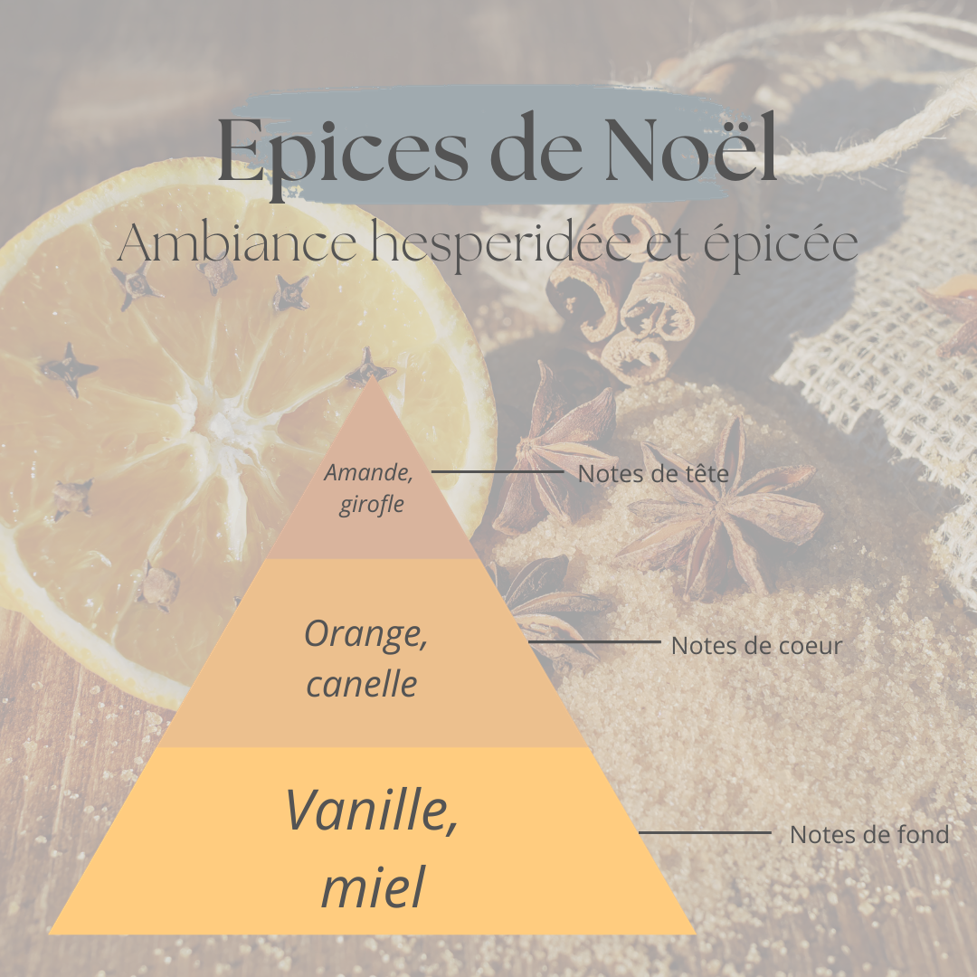 Pyramide olfactive Epices de Noel