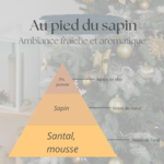 Pyramide olfactive au pied du sapin