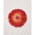 Dessous de verre luna rose