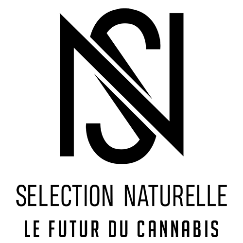 Sélection Naturelle - Le futur du cannabis