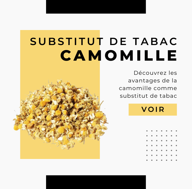Substituts tabac