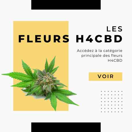 achat en ligne de fleurs h4cbd 1