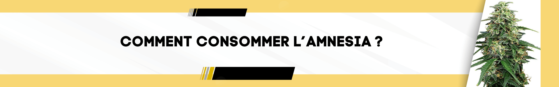 L'Amnesia - Peut-être, le meilleur ! 