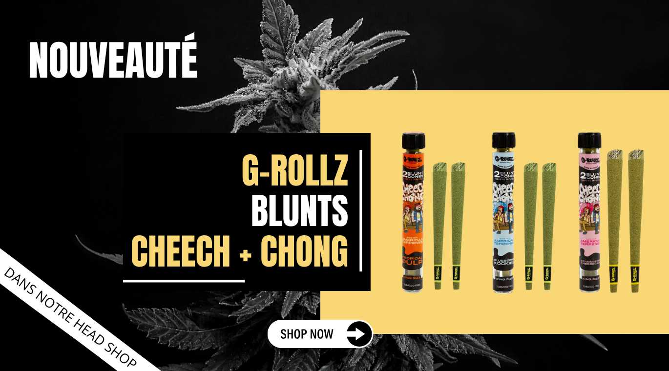 Blunt - G-Rollz Cheech and Chong