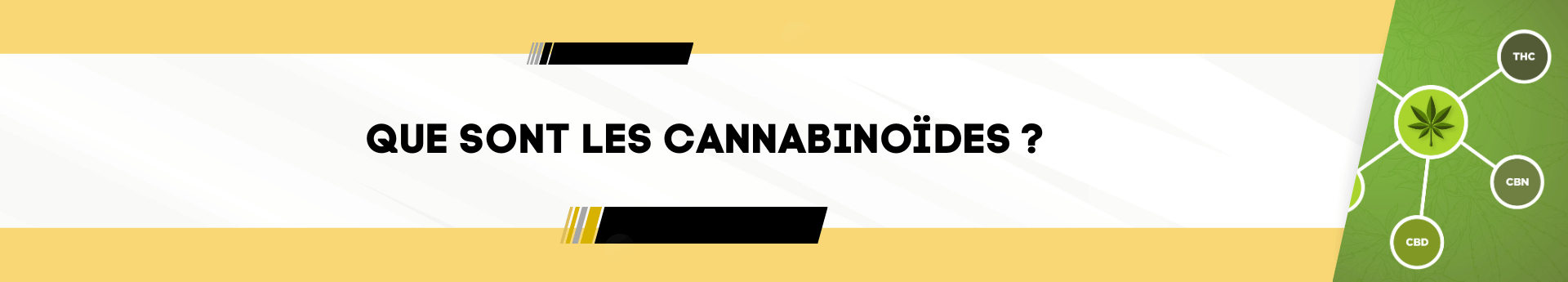 Que sont les cannabinoïdes ?