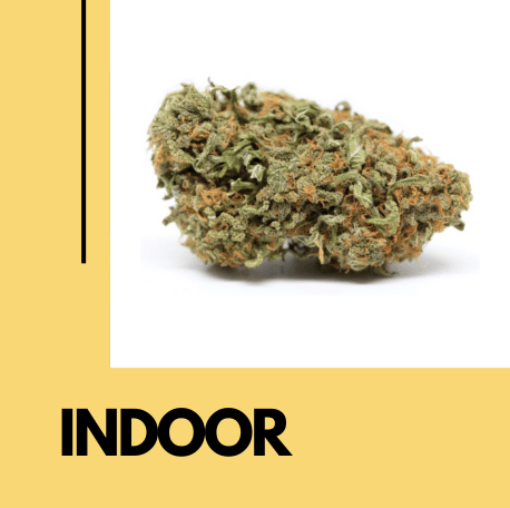 Fleurs de CBD indoor