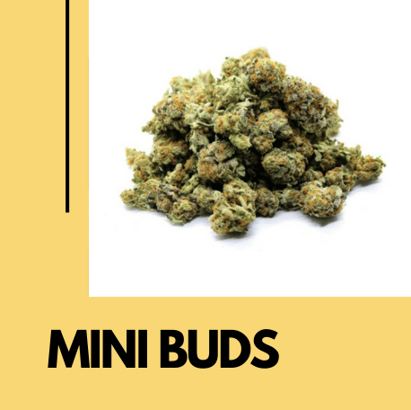 Mini Buds CBD