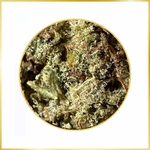 bud-bunny-orange-bud-fleur-de-cbd-vue-de-pres