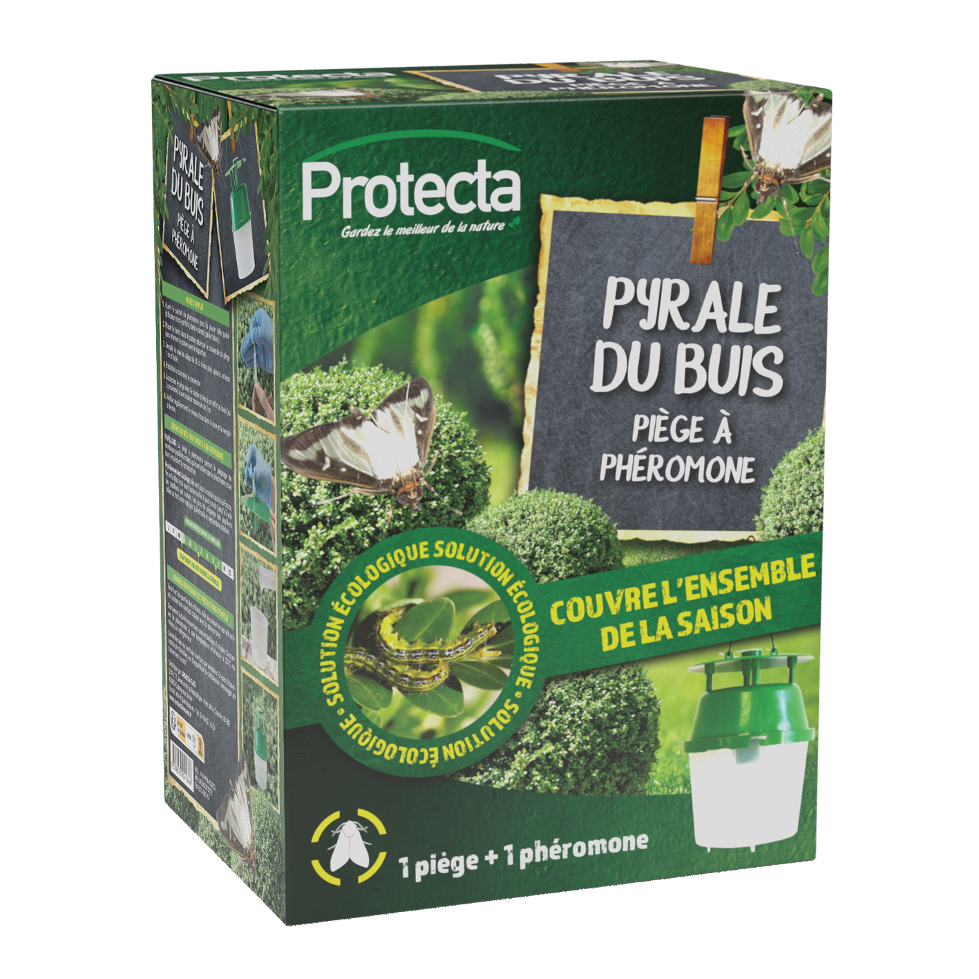 piège phéromone pyrale du buis