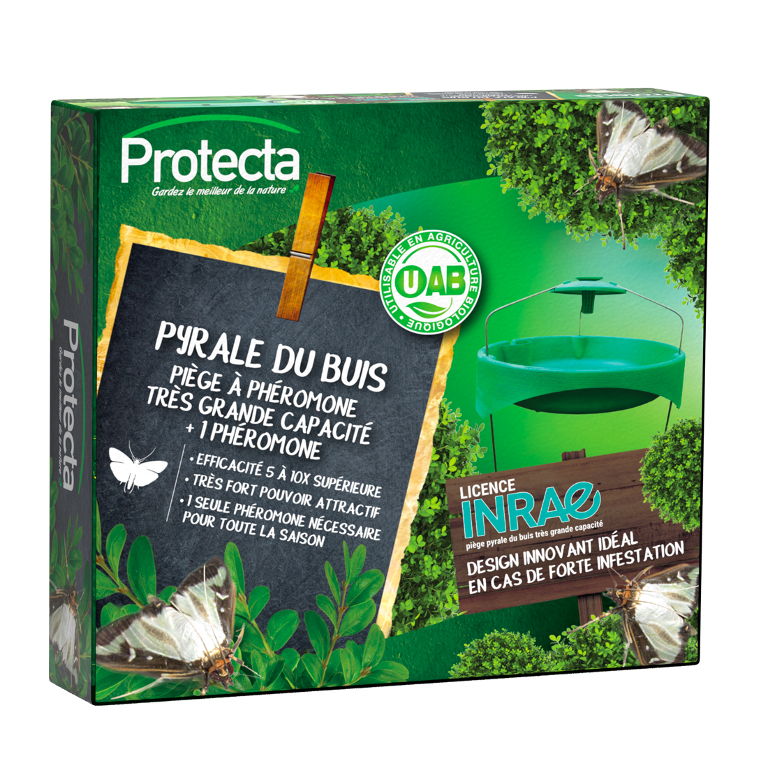 piège pyrale du buis