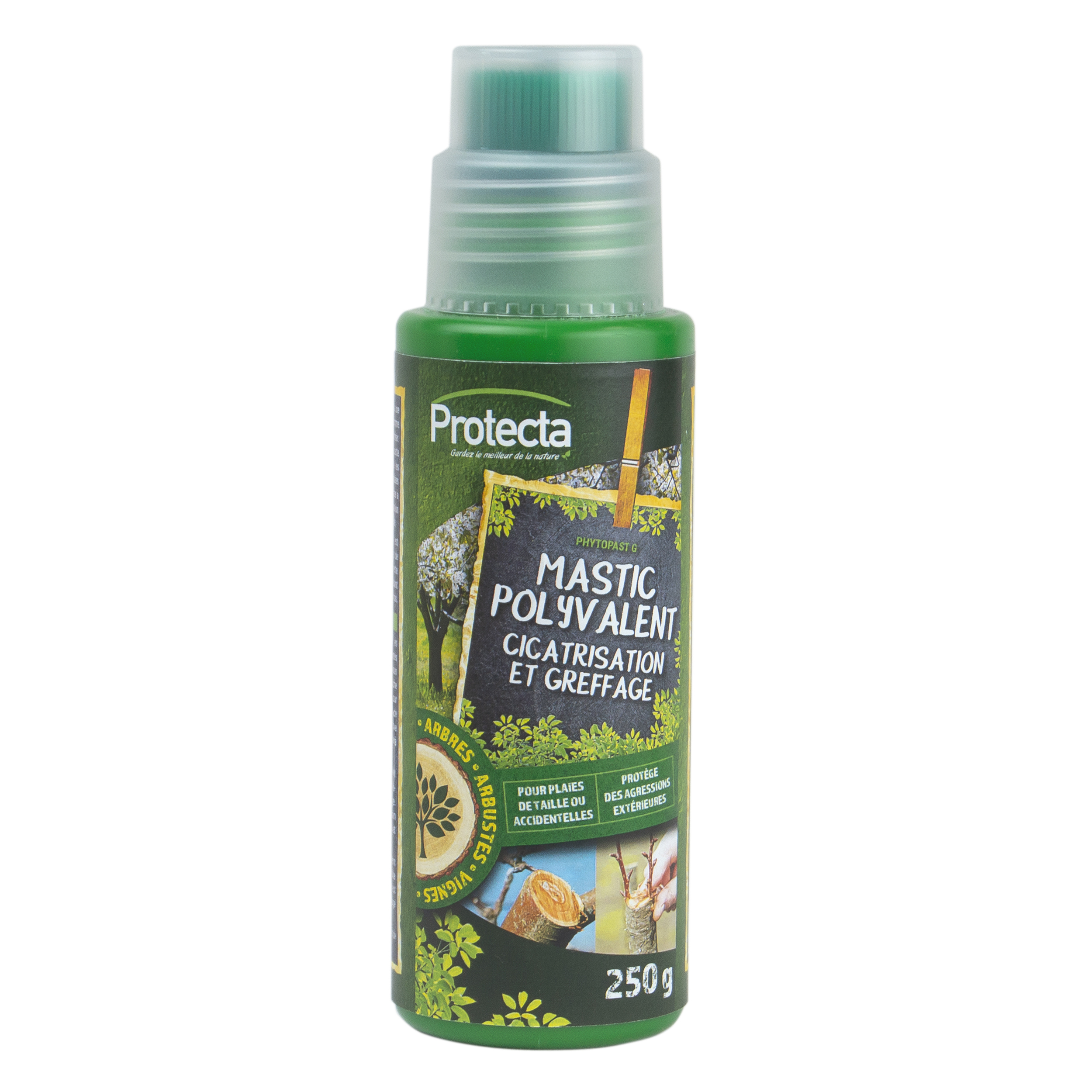 CICATRISANT - MASTIC POLYVALENT 250G