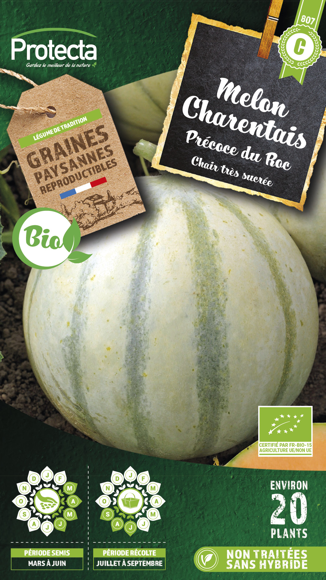 MELON CHARENTAIS PRÉCOCE DU ROC BIO
