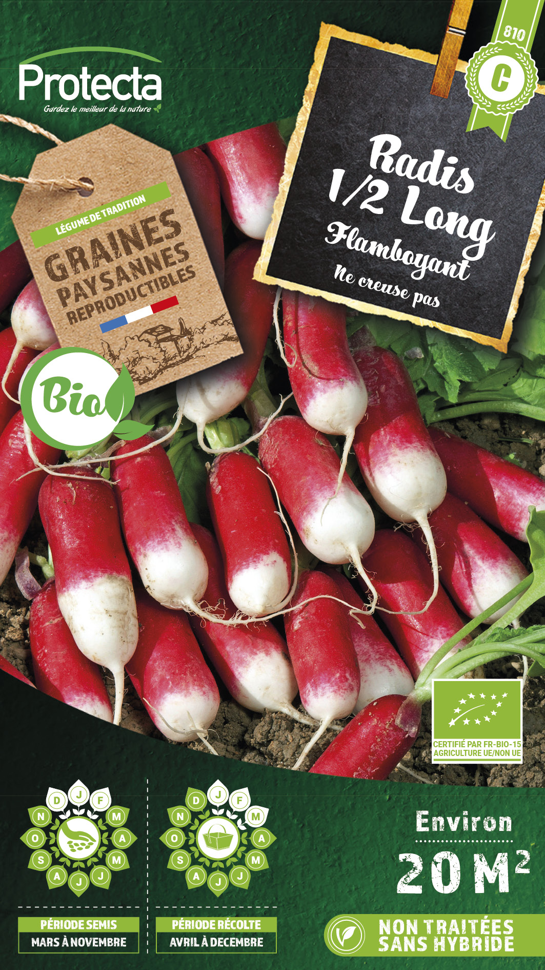 Graines radis long