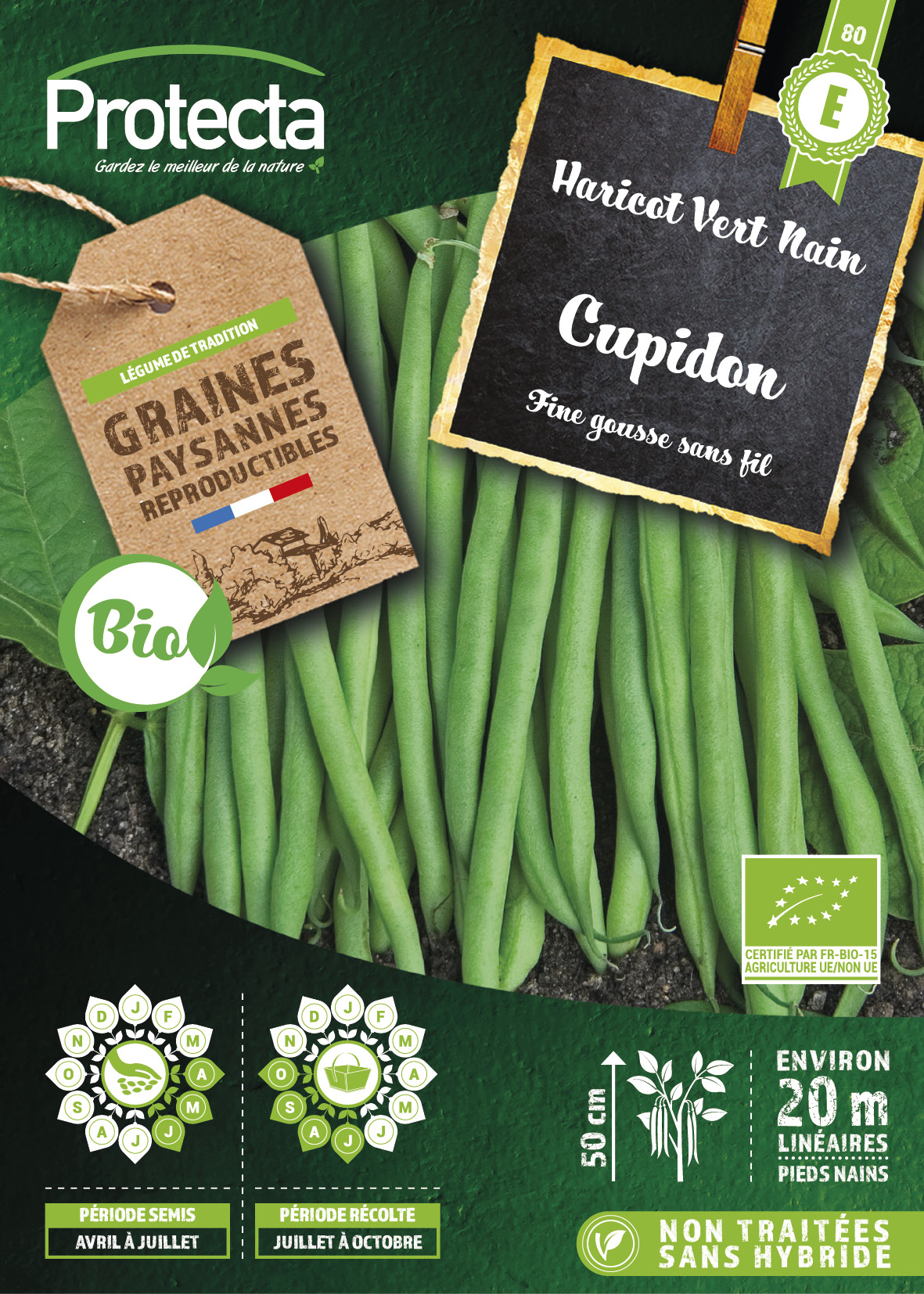 Graines Haricot vert nain