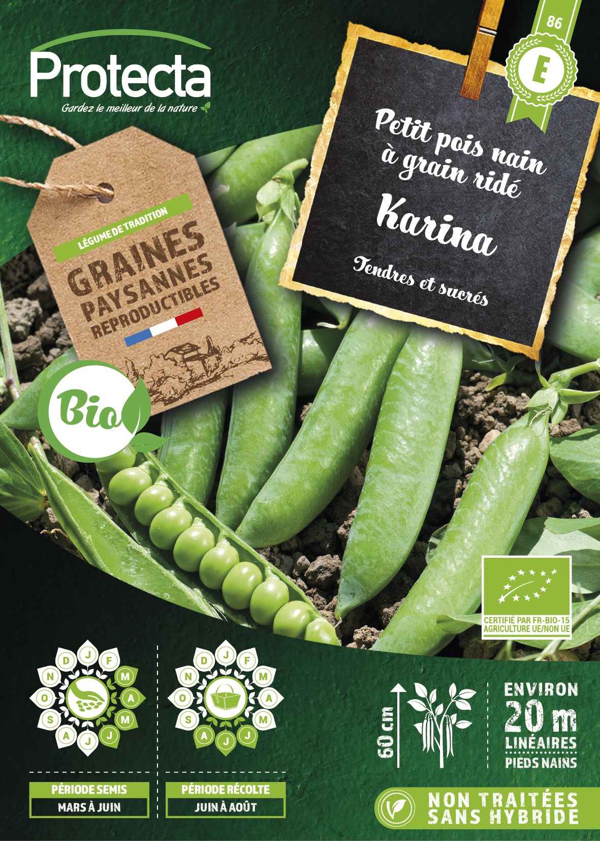 Graines petit pois nain