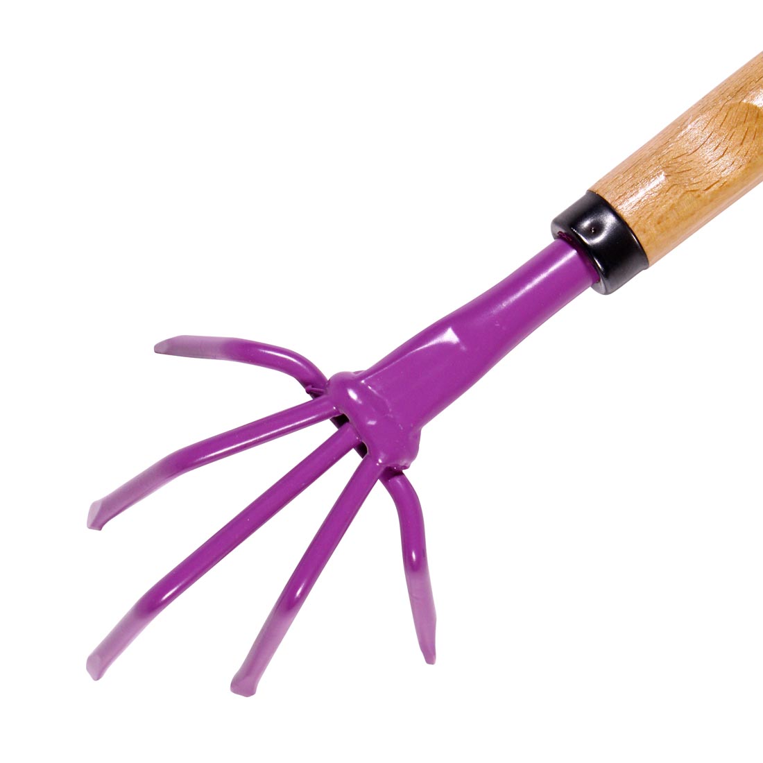 Griffes 5 dents violet