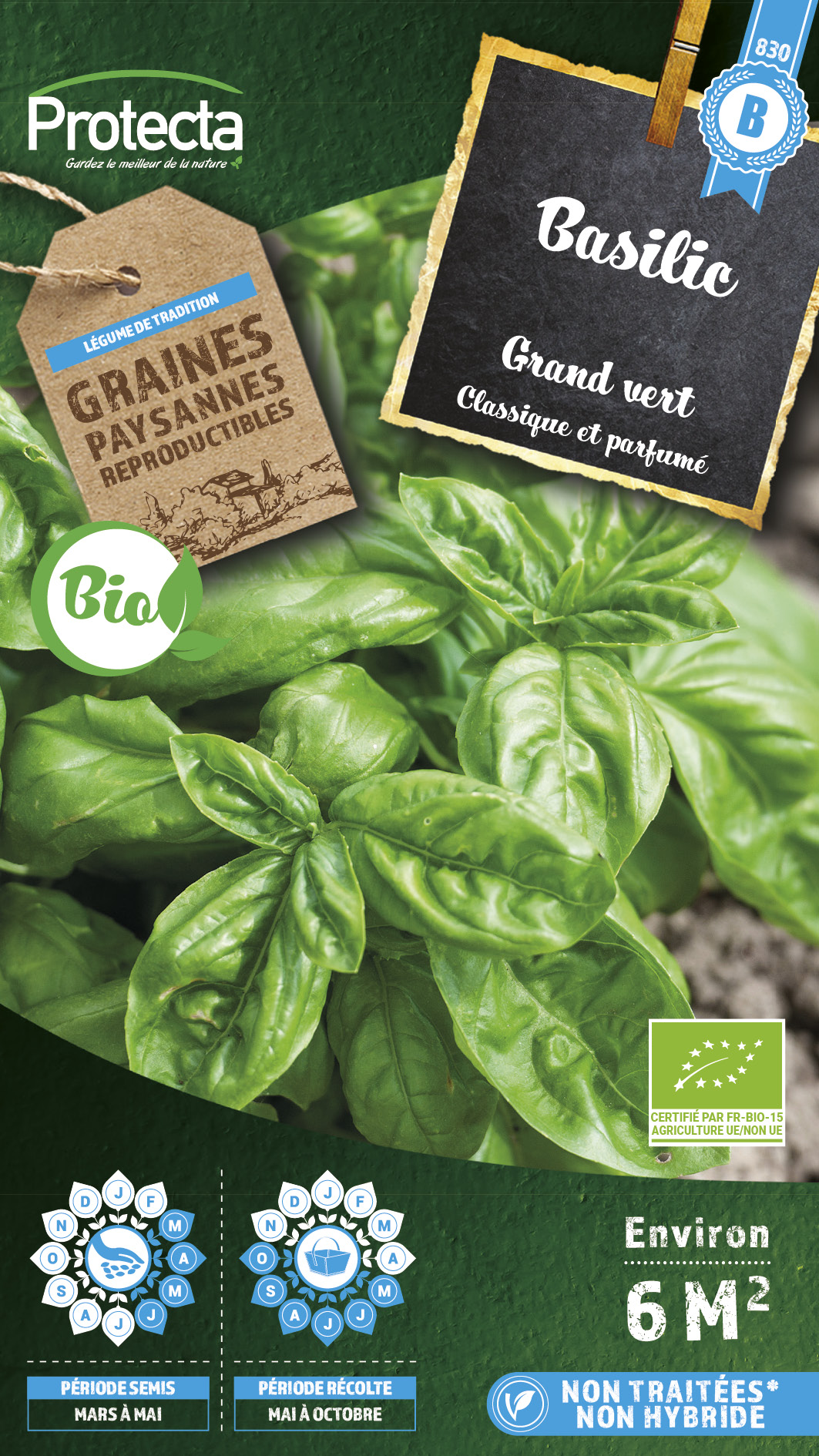 BASILIC GRAND VERT BIO