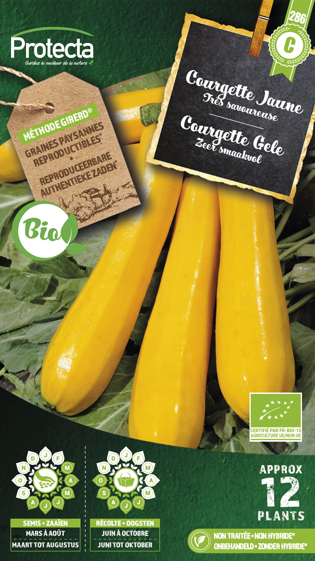 Protecta_Semences-Courgette jaune Bio